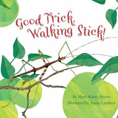 Good Trick Walking Stick - Sheri M. Bestor
