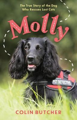 Molly: The True Story of the Dog Who Rescues Lost Cats - Colin Butcher