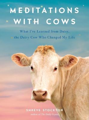 Meditations with Cows: What I've Learned from Daisy, the Dairy Cow Who Changed My Life - Shreve Stockton