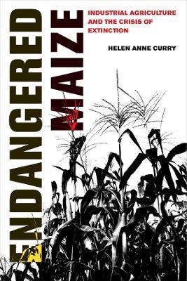 Endangered Maize: Industrial Agriculture and the Crisis of Extinction - Helen Anne Curry