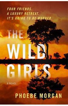 Coperta cărții 'The Wild Girls - Phoebe Morgan'