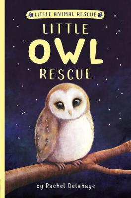 Little Owl Rescue - Rachel Delahaye