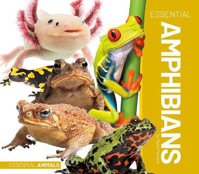 Essential Amphibians - Marie Pearson