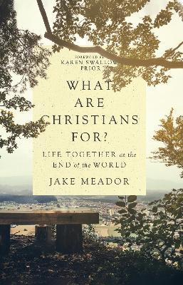 What Are Christians For?: Life Together at the End of the World - Jake Meador