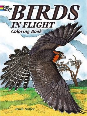 Birds in Flight Coloring Book - Ruth Soffer