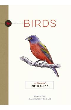 Birds: An Illustrated Field Guide - June Lee