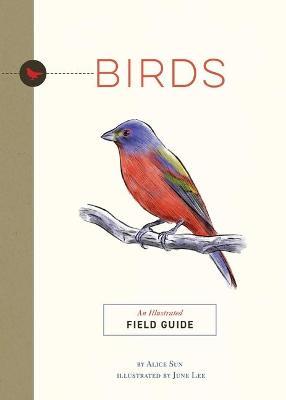Birds: An Illustrated Field Guide - June Lee