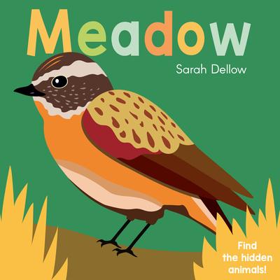 Now You See It! Meadow - Sarah Dellow