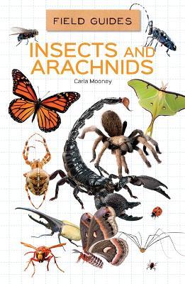 Insects and Arachnids - Carla Mooney