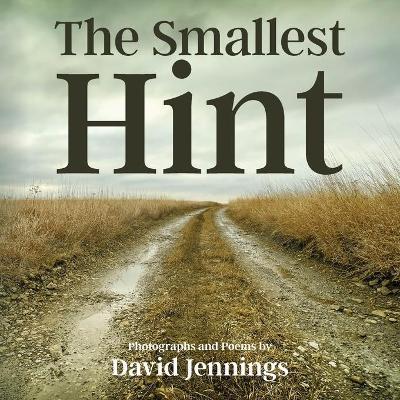 The Smallest Hint - David Jennings
