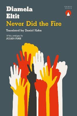 Never Did the Fire - Diamela Eltit