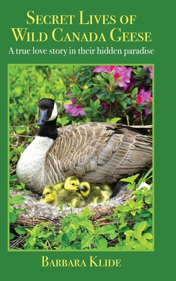 Secret Lives of Wild Canada Geese: A true love story in their hidden paradise - Barbara Klide