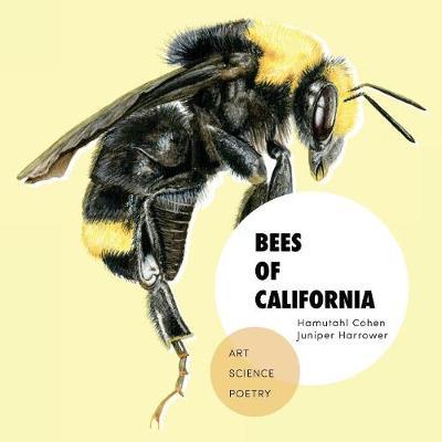 Bees of California: Art, Science, and Poetry - Hamutahl Cohen