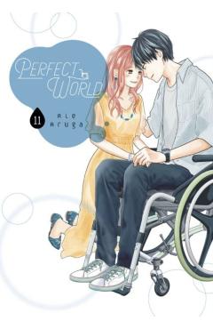 Perfect World 11 - Rie Aruga