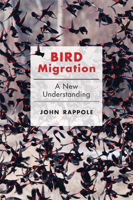 Bird Migration: A New Understanding - John H. Rappole