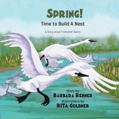 SPRING! Time to Build a Nest, A Story about Trumpeter Swans - Barbara Renner