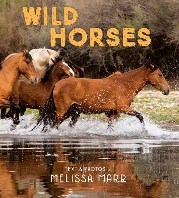 Wild Horses - Melissa Marr