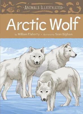 Animals Illustrated: Arctic Wolf - William Flaherty
