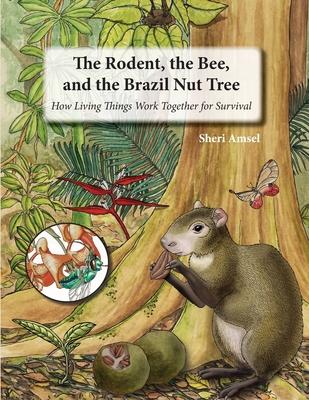 The Rodent, the Bee, and the Brazil Nut Tree: How Living Things Work Together for Survival - Sheri Amsel