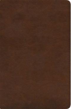 ESV Spanish/English Parallel Bible (La Santa Biblia Rvr / The Holy Bible Esv, Trutone, Brown) -