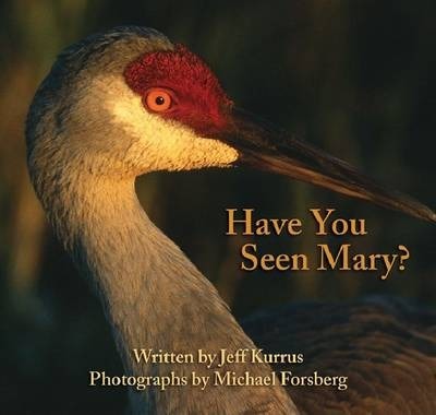 Have You Seen Mary? - Jeff Kurrus
