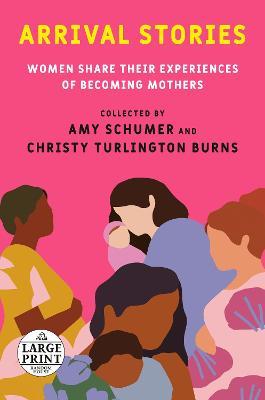Arrival Stories: Women Share Their Experiences of Becoming Mothers - Amy Schumer