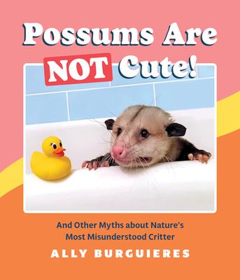 Possums Are Not Cute!: And Other Myths about Nature's Most Misunderstood Critter - Ally Burguieres