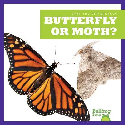 Butterfly or Moth? - Adeline J. Zimmerman