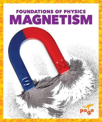 Magnetism - Anita Nahta Amin