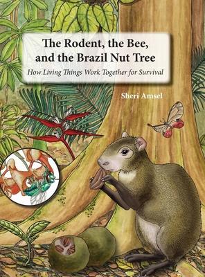 The Rodent, the Bee, and the Brazil Nut Tree: How Living Things Work Together for Survival - Sheri Amsel