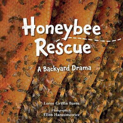 Honeybee Rescue: A Backyard Drama - Loree Griffin Burns
