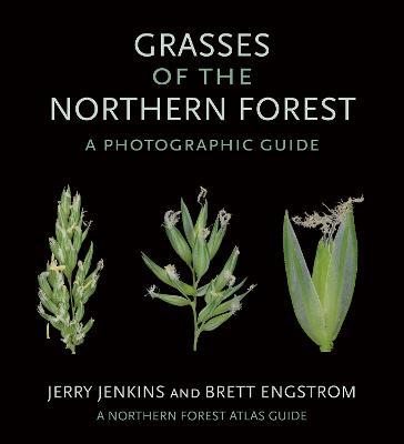 Grasses of the Northern Forest: A Photographic Guide - Jerry Jenkins