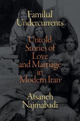 Familial Undercurrents: Untold Stories of Love and Marriage in Modern Iran - Afsaneh Najmabadi
