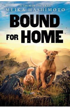 Bound for Home - Meika Hashimoto