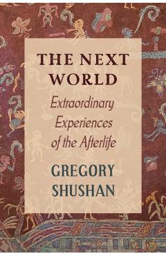 The Next World: Extraordinary Experiences of the Afterlife - Gregory Shushan