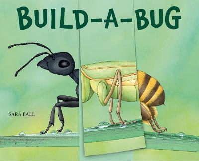 Build-A-Bug - Sara Ball