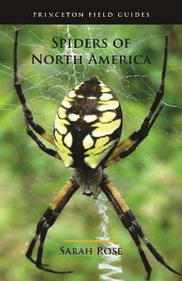Spiders of North America - Sarah Rose