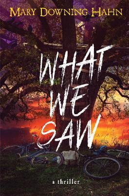 What We Saw - Mary Downing Hahn