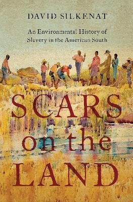 Scars on the Land: An Environmental History of Slavery in the American South - David Silkenat