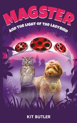Magster and the Light of the Ladybird - Kit Butler