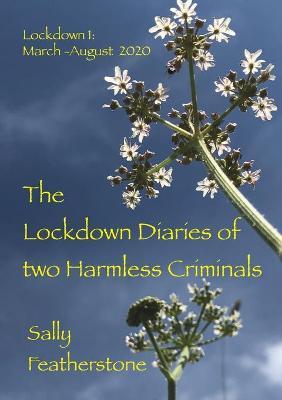 Lockdown Diary - Sally Featherstone