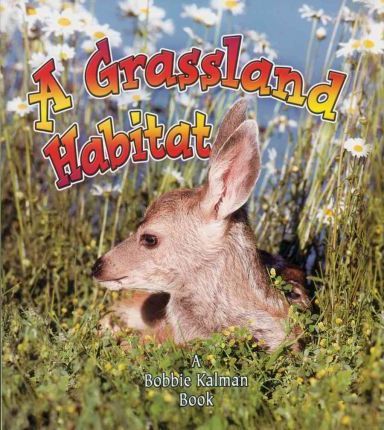 A Grassland Habitat - Kelley Macaulay