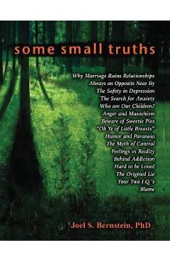 Coperta cărții 'Some Small Truths - Joel S. Bernstein'
