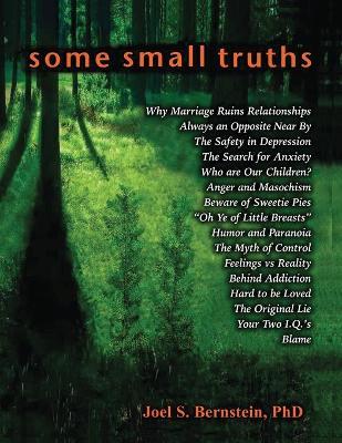 Some Small Truths - Joel S. Bernstein