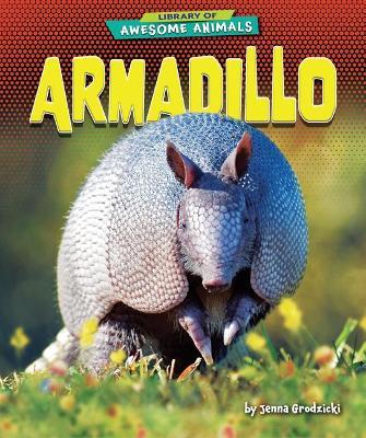 Armadillo - Jenna Grodzicki