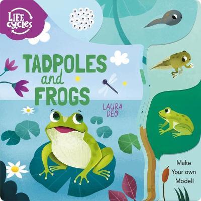Tadpoles and Frogs: Make Your Own Model! - Annabel Savery