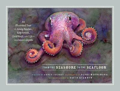 From the Seashore to the Seafloor: An Illustrated Tour of Sandy Beaches, Kelp Forests, Coral Reefs, and Life in the Ocean's Depths - Janet Voight