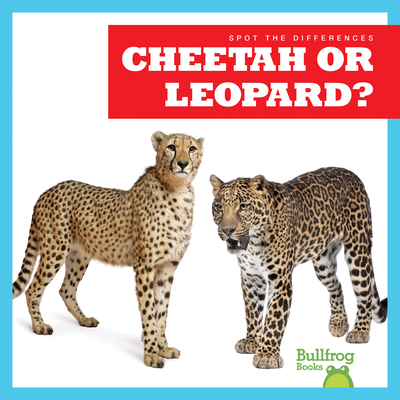 Cheetah or Leopard? - Jamie Rice