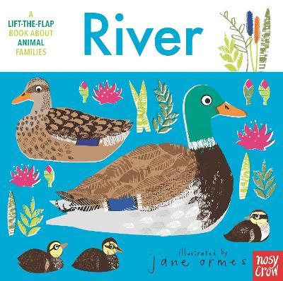 Animal Families: River - Nosy Crow