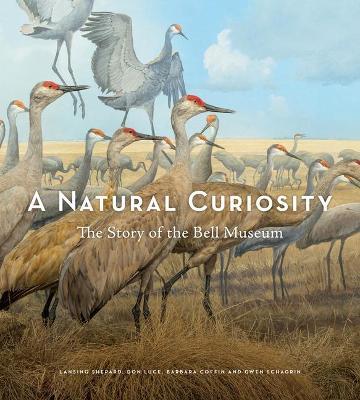 A Natural Curiosity: The Story of the Bell Museum - Barbara Coffin